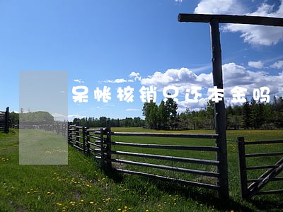 呆帐核销只还本金吗 呆帐核销只还本金吗