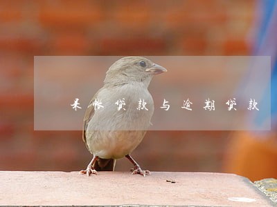 呆帐贷款与逾期贷款 呆帐贷款与逾期贷款