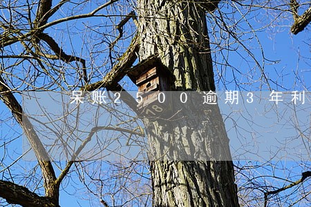 呆账2500逾期3年利息是多少 呆账2500逾期3年利息是多少