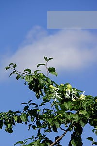 呆账6年还了等于多少次逾期 呆账6年还了等于多少次逾期
