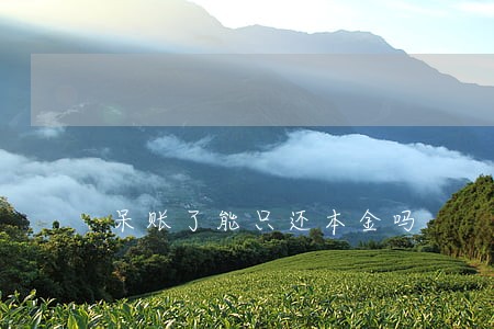 呆账了能只还本金吗 呆账了能只还本金吗