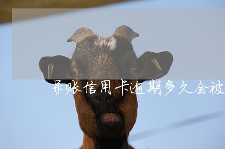 呆账信用卡逾期多久会被冻结 呆账信用卡逾期多久会被冻结