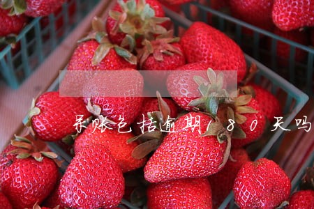 呆账包括逾期180天吗 呆账包括逾期180天吗
