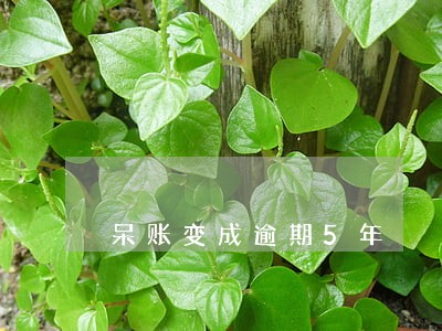 呆账变成逾期5年 呆账变成逾期5年