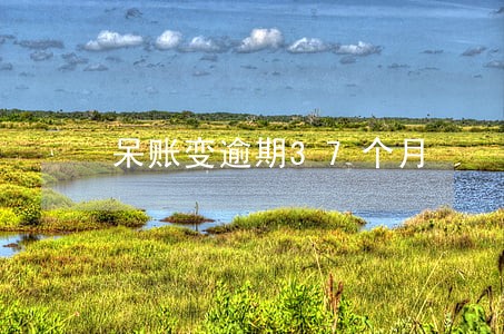 呆账变逾期37个月 呆账变逾期37个月