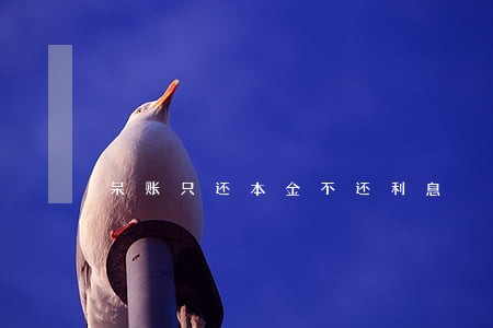 呆账只还本金不还利息 呆账只还本金不还利息