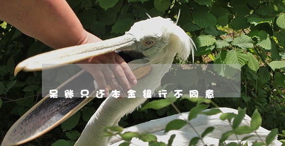 呆账只还本金银行不同意 呆账只还本金银行不同意