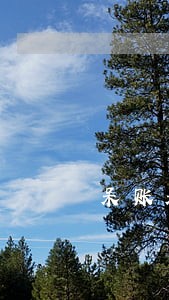 呆账呆滞逾期贷款的区别 呆账呆滞逾期贷款的区别