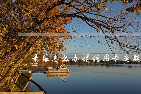 呆账怎么办理信用卡逾期 呆账怎么办理信用卡逾期