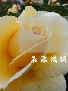 呆账核销后能只还本金吗 呆账核销后能只还本金吗