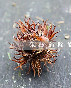 呆账消除能只还本金嘛 呆账消除能只还本金嘛