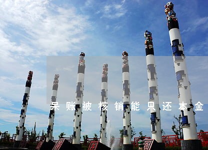 呆账被核销能只还本金吗 呆账被核销能只还本金吗