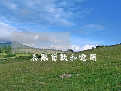 呆账贷款和逾期 呆账贷款和逾期