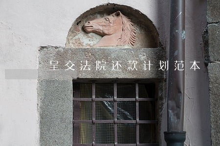 呈交法院还款计划范本 呈交法院还款计划范本