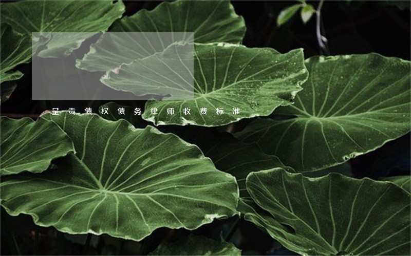 呈贡债权债务律师收费标准