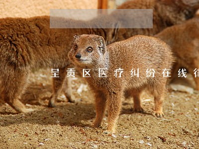 呈贡区医疗纠纷在线律师 呈贡区医疗纠纷在线律师
