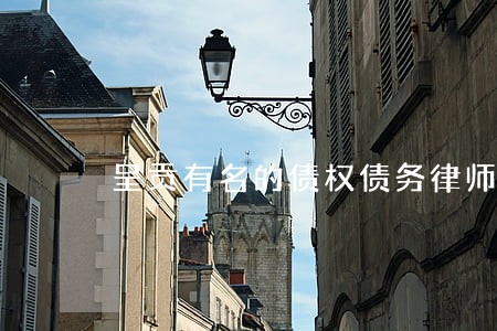 呈贡有名的债权债务律师