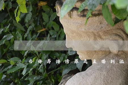 告侮辱诽谤罪是直接到法院起诉吗 告侮辱诽谤罪是直接到法院起诉吗