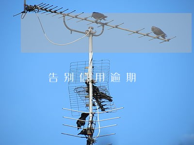 告别信用逾期 告别信用逾期