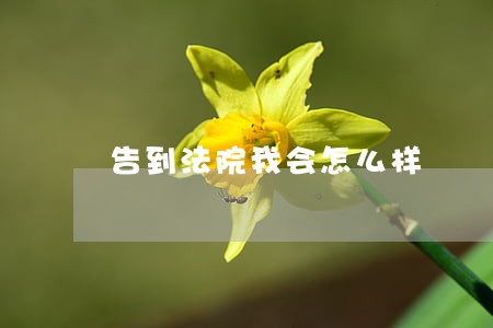 告到法院我会怎么样 告到法院我会怎么样