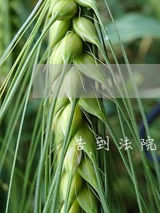 告到法院能否获得赔付 告到法院能否获得赔付