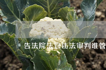 告法院法官违法审判谁管 告法院法官违法审判谁管