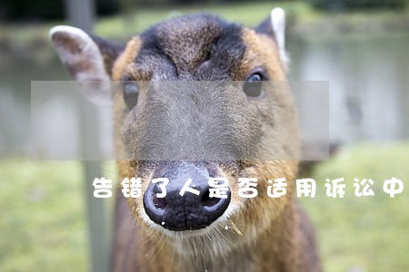 告错了人是否适用诉讼中断 告错了人是否适用诉讼中断