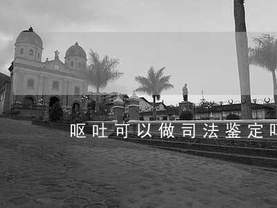 呕吐可以做司法鉴定吗 呕吐可以做司法鉴定吗