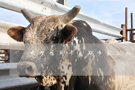 呗呗信用卡逾期多久上征信 呗呗信用卡逾期多久上征信