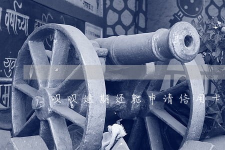 呗呗逾期还能申请信用卡吗 呗呗逾期还能申请信用卡吗