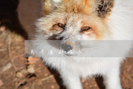 员卡逾期咋办