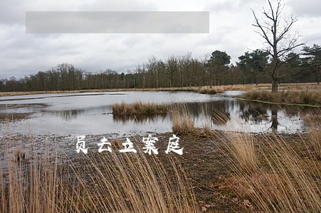 员去立案庭