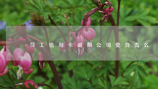 员工信用卡逾期公司要负责么 员工信用卡逾期公司要负责么