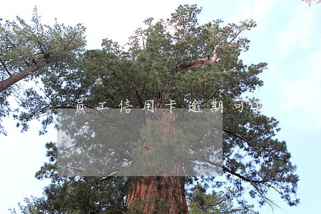 员工信用卡逾期可以辞退吗 员工信用卡逾期可以辞退吗