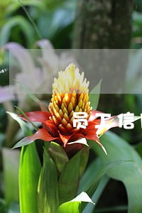 员工信用卡逾期调查过程 员工信用卡逾期调查过程