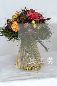 员工劳动合同法模板 员工劳动合同法模板