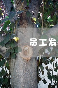 员工发生意外和公司的法律关系