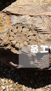 员工宿舍网络接入协议律师版本 员工宿舍网络接入协议律师版本