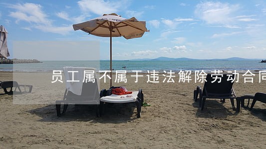 员工属不属于违法解除劳动合同 员工属不属于违法解除劳动合同