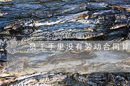 员工手里没有劳动合同算违法