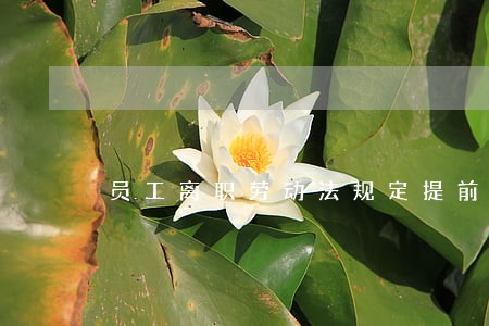 员工离职劳动法规定提前多长时间 员工离职劳动法规定提前多长时间