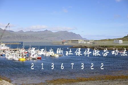 员工离职社保停缴劳动法规定/2023021367322 员工离职社保停缴劳动法规定/2023021367322
