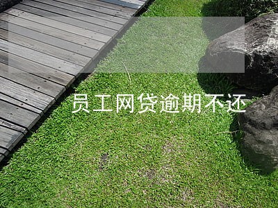 员工网贷逾期不还