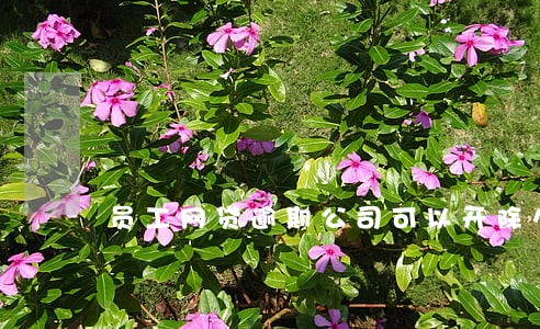 员工网贷逾期公司可以开除么 员工网贷逾期公司可以开除么
