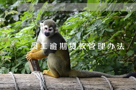 员工逾期贷款管理办法 员工逾期贷款管理办法
