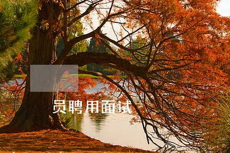 员聘用面试