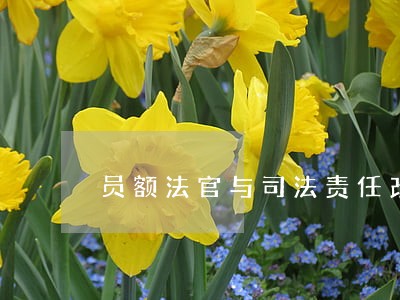 员额法官与司法责任改革 员额法官与司法责任改革