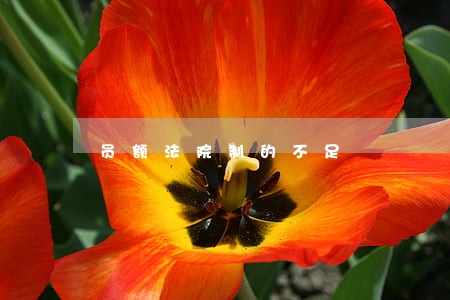 员额法院制的不足 员额法院制的不足
