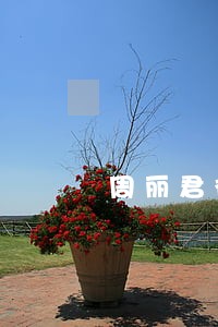 周丽君律师 周丽君律师