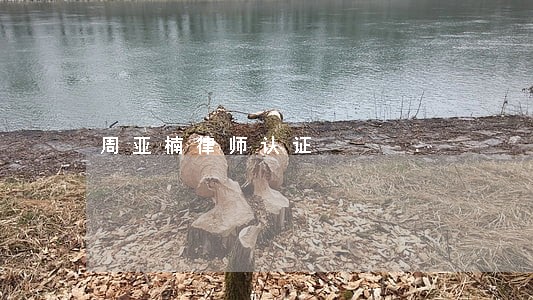 周亚楠律师认证 周亚楠律师认证